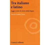 Tra italiano e latino. Saggi e note di storia della lingua