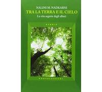 Tra la terra e il cielo. La vita segreta degli alberi