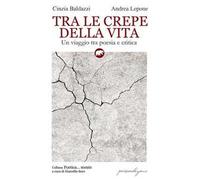Tra le crepe della vita. Un viaggio tra poesia e critica