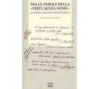 Tra le parole della «virtù senza nome». La ricerca di Luigi Meneghelle. Atti del Convegno internazionale di studi. (Malo, 26-28 giugno 2008)