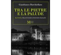 Tra le pietre e la palude. Mantova tra futuro e infinito passato