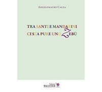 Tra santi e mandarini ci sta pure uno zebù