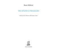 Tra spazio e paesaggio. Studi su Calvino, Biamonti, Del Giudice e Celati