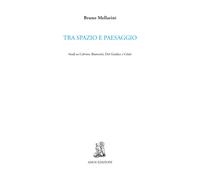 Tra spazio e paesaggio. Studi su Calvino, Biamonti, Del Giudice e Celati.