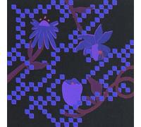 Trace Mountains - Into the Burning Blue (Blue Vinyl)