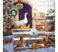 Tracks Publishing Biglietti di Natale di beneficenza, confezione da 5, design artistico con animali innevati, confezione multipla di biglietti di Natale, a sostegno della British Heart Foundation