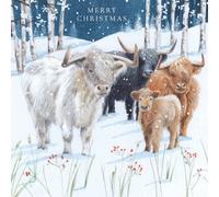 Tracks Publishing Biglietti di Natale di beneficenza, confezione da 5, design artistico con mucche delle Highlands, confezione multipla di biglietti di Natale, a sostegno della British Heart