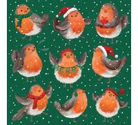 Tracks Publishing Confezione da 5 biglietti di Natale di beneficenza, design Jolly Robins, confezione multipla di biglietti di Natale per le feste, a sostegno della British Heart Foundation