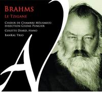 Trad. Tzigane Brahms le Tzigane (CD)