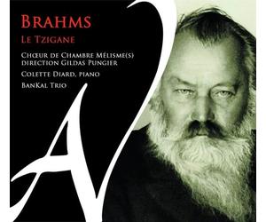 Trad. Tzigane Brahms le Tzigane (CD)