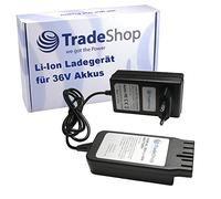 Trade-Shop Caricabatterie con alimentatore compatibile con Hilti TE 60-A36, TE6A, TE 6A, TE6-A36, TE 6-A36 AVR, batteria agli ioni di litio (36 V)