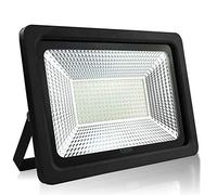 TrAdE Shop - Faro FARETTO PROIETTORE A LED per da Esterno IP65 Luce Fredda Calda 30 50 100 W - 100 Watt, Fredda