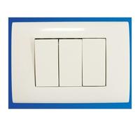 TrAdE shop Traesio - Placca Placchetta 3 Posti Completa 2 Interruttori Presa Bipasso Incasso 503