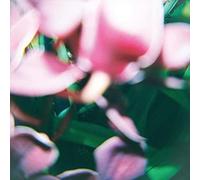 Trade Wind - You Make Everything Disappear