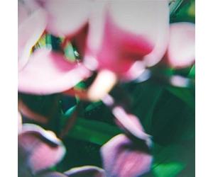 Trade Wind - You Make Everything Disappear