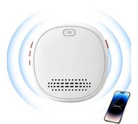 Traduttore Linguistico AI Assistente Vocale Indossabile Wireless In Reale | Dispositivo Traduttore In Reale Per Ristorante Hotel Lavoro Comunicazione Quotidiana Viaggio Traduzione Conversazione B