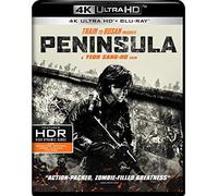 Train to Busan Presents Peninsula