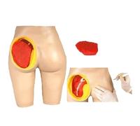 Trainer for l'iniezione dell'anca, modello for la pratica dell'iniezione dell'anca con componente 4/1 staccabile, modello di simulazione del gluteo in PVC, 3 metodi di formazione sulle