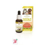 TRAINING & EDUCATION 30 ML