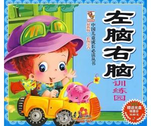 Training Park for Left Brains and Right Brains (Chinese Edition)
