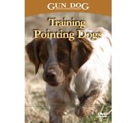 Training Pointing Dogs