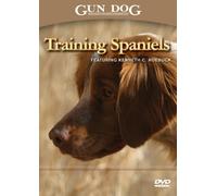Training Spaniels