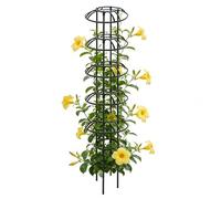 Tralicci Da Giardino - Struttura Verticale Per Arboricoltura, Pilastro Di Supporto Botanico Metallurgico, Traliccio Per Obelisco Di Rose Di Supporto Per Piante | Impalcatura Per Clematide In Vaso