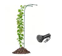 Traliccio ad arco da giardino in metallo resistente, 2,4 m, supporto per piante rampicanti per percorsi e gateway, perfetto per matrimoni e composizioni floreali (verde, 2,4 x 2,4 m)