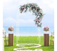 Traliccio ad arco per piante rampicanti, pergola in metallo per supporto per rose, decorazione per feste, disponibile in 80 cm, 120 cm, 140 cm, 240 cm, 300 cm (bianco, 3,50 x 2,20 m)