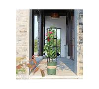 Traliccio da giardino in acciaio inox, obelisco per piante rampicanti, rivestito in plastica, resistente al calore, facile da montare, supporto per fiori, 30 x 120 cm, supporto per piante da esterno
