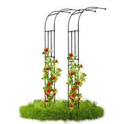 Traliccio da giardino in metallo, confezione da 2 pezzi, resistente alle intemperie, per piante rampicanti, pergola, supporto semicircolare da giardino, decorazione da giardino durevole (260 x 240 cm)