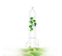 Traliccio da Giardino in Metallo per Piante rampicanti - Torre per Piante a Forma di obelisco Rotondo e Gabbia per pomodori - Supporto Durevole per Verdure - 31x160 cm (12,2x63 Pollici), col