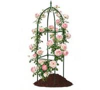 Traliccio da giardino in metallo - Supporto per verticale regolabile per viti, piselli, fagioli, fiori e frutta, acciaio antiruggine verniciato a polvere, per balcone, patio, casa, giardino est