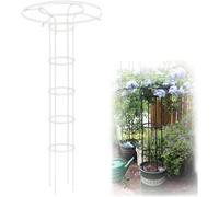 Traliccio da giardino per piante rampicanti, supporto verticale antiruggine per piante rampicanti per esterni, rose, glicine