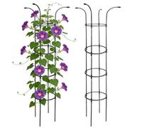 Traliccio Da Giardino - Supporti Verticali Per Vite Stabile E Antiruggine - Per Torre A Traliccio Per Ombrello - Robusto Picchetto Per Terra Per Clematide Verdura Drago Frutta Cetriolo Ortensie