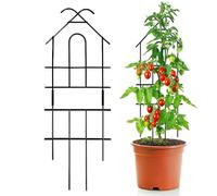 Traliccio da giardino - Supporto metallico per la crescita delle piante - Struttura per rampicanti - per interni esterni e giardino, patio, balcone, serra, matrimonio vegetale vigna terreno