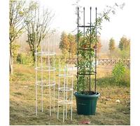 Traliccio Dell'obelisco Del Giardino, Gabbia Della Pianta Del Pomodoro Per La Rosa Di Supporto, Piante Rampicanti, Viti Vegetali, Supporto Della Pianta Della Pianta D, Black, 30*150cm/11.81*59.1in