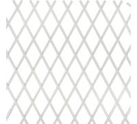 Traliccio Estensibile in Plastica Rampicanti da Giardino Balcone Verde Bianco