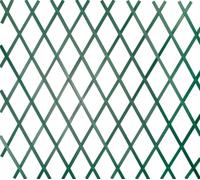 Traliccio Estensibile in Plastica Rampicanti da Giardino Balcone Verde Bianco
