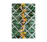 TRALICCIO ESTENSIBILE IN PVC BIANCO 200x100 PER PIANTE RAMPICANTI