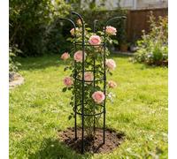 Traliccio for Orto, Struttura for Piante da Giardino con Anelli Regolabili, Supporto in Tubo for Rose, Rampicanti, Fiori e Ortaggi, for Esterni