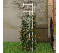 Traliccio in metallo bianco a mezzo arco per piante rampicanti da giardino all'aperto arco per viti Idee arco a palloncino - Struttura di supporto decorativa da 220 cm