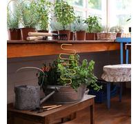 Traliccio in metallo per piante rampicanti, 4 pezzi, struttura di supporto in ferro di forma irregolare, 34 x 10 cm, antiruggine, per interni ed esterni, barra trasversale nera