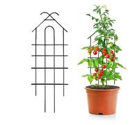 Traliccio per giardino, supporto in metallo per la crescita delle piante - Supporto per rampicanti - per interni esterni, cortile, giardino, matrimonio, rampicante, terreno balcone
