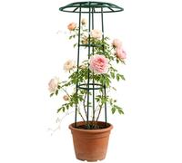 Traliccio per il Sostegno di Piante Rampicanti da Ortaggi a Forma di | Traliccio Da Viti Adatto a Esterno e Patio Rose Clematis Vite Cetriolo Fagiolo Rampicante ed Ortaggi