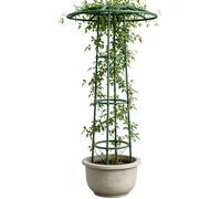 Traliccio per il Sostegno di Piante Rampicanti Supporto Floreale A Forma Di | Supporto per le Piante Adatto a Esterno e Patio Rose Clematis Vite Cetriolo Fagiolo Rampicante ed Ortaggi