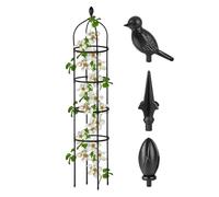Traliccio Per Obelisco - Rastrelliere Per Rose Antiruggine | Supporto Per Piante Rampicanti | Per Giardinieri Hobbisti Coltivatori Balcone Patio Terrazza Casa Appartamento Rialzato Frutta E Verd
