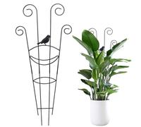 traliccio per piante, in metallo, per la crescita di piante, traliccio, traliccio | per interni, terrazza, giardino, matrimonio, serra, vigneto balcone