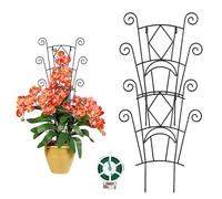 Traliccio per piante, paletti di supporto da giardino per piante rampicanti | Pothos, per interni ed esterni, balcone, viti Monstera Ivy Clematis giardinieri