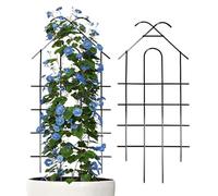 Traliccio per piante rampicanti all'aperto - per gabbia in metallo da 2 pezzi - Traliccio per uva alto 20,47 pollici per pomodoro, vite, rosa, Monstera Pothos, porta interna, cancello, cetriolo